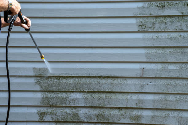 Trusted Harvey, IL Siding Services Experts